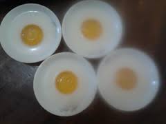 Resep Puding Telur Mata Sapi