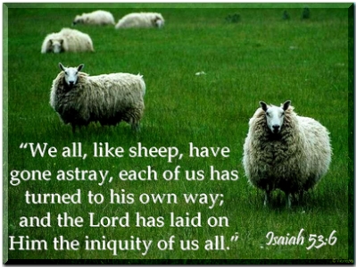 Doctrine of antithesis
