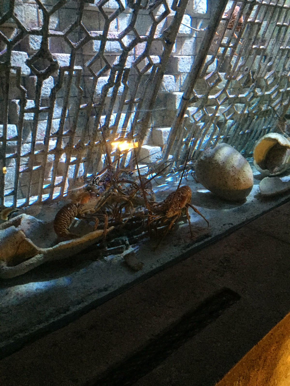 More Lobsters More Lobsters