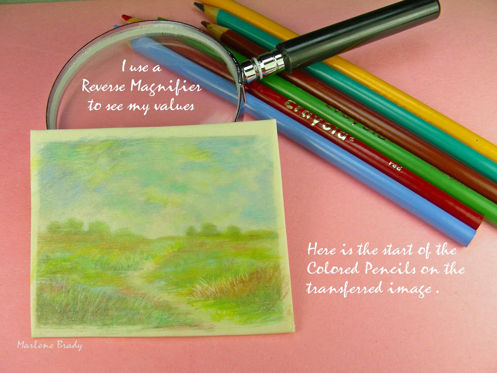 Marlene Brady Colored Pencil on Polymer