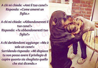 Amare Viaggiare Scrivere Non E Mai Troppo Tardi Per Essere Cio Che Avresti Potuto Essere G Eliot Kira Il Nostro Angioletto