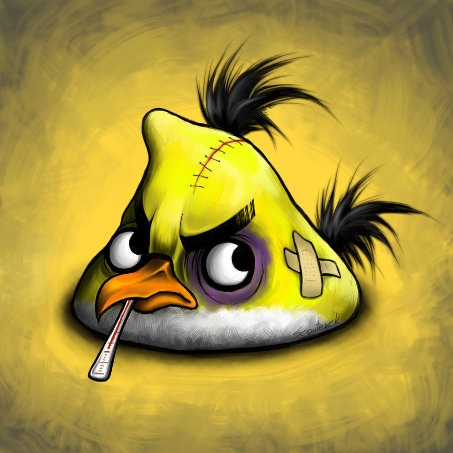 My Funny Wounded Angry Birds Pictures