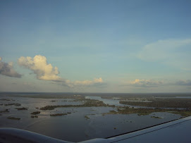 PARINTINS - ILHA DE TUPYNAMBARANA