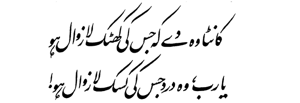 Urdu poetry: A romance between the eternal and ephemeral.