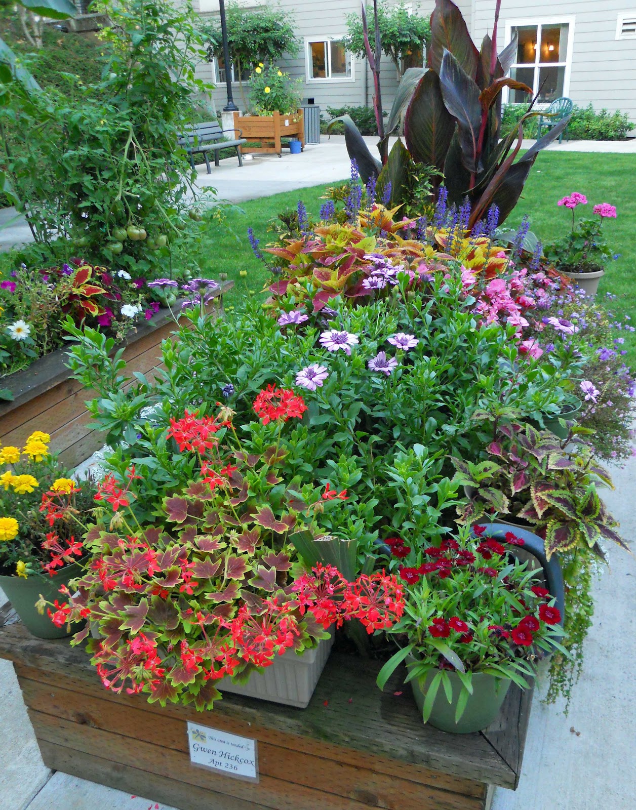 Beech Street Gardens: Raised Flower Bed By Gwen