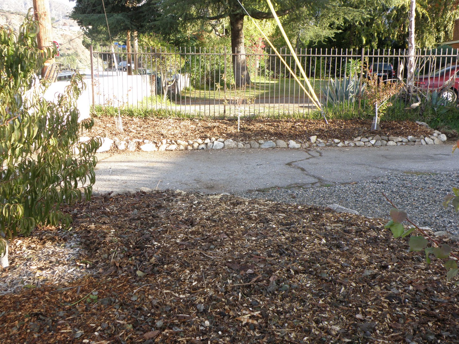 A Thinking Stomach Mulch Mania