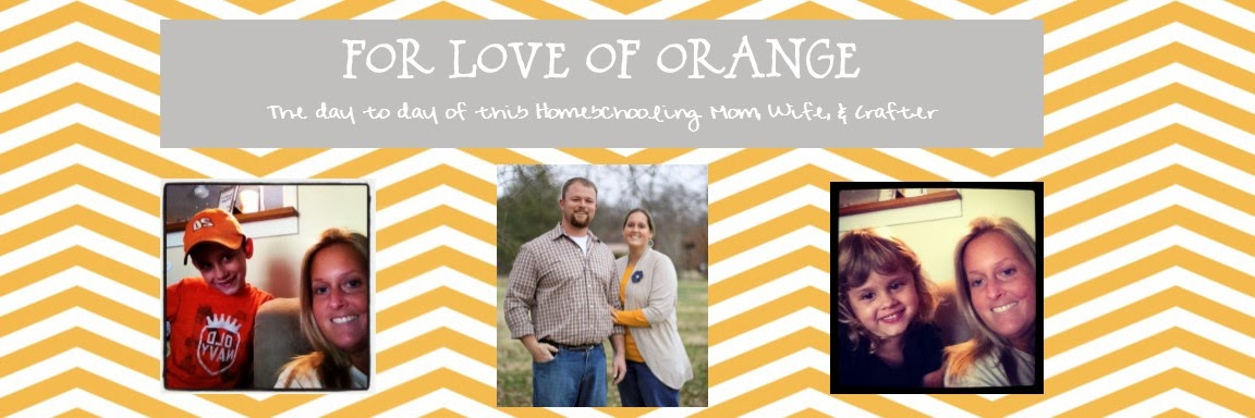 For Love of Orange Blog