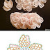 Patrón: flores super caladas / Crochet flower patterns