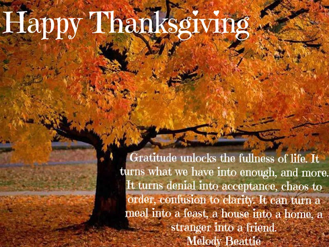 Thanksgiving Quotes | Nice Picture Quotes
