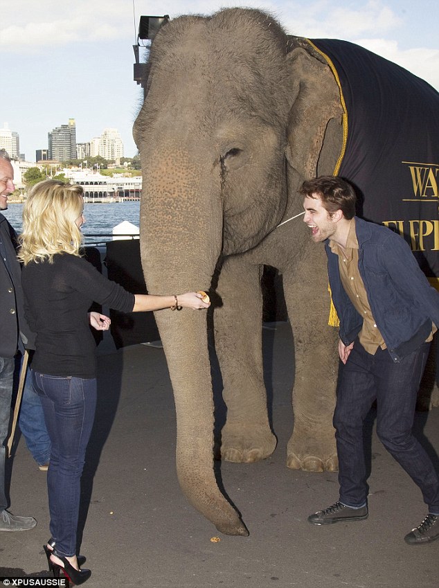 Who invited the elephant? Robert Pattinson and Reese Witherspoon upstaged by wrinkly star at Sydney premiere