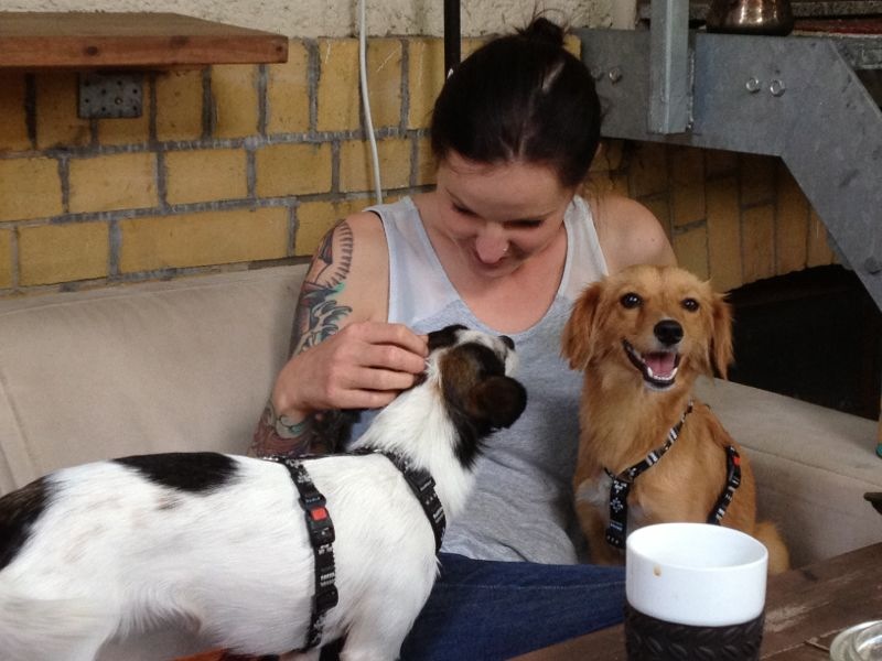 Serendipity is Life Tierschutz im Ausland WolkenHunde e.V.