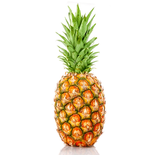 combater o inchaço e retenção de liquidos COM Recursos naturais 3