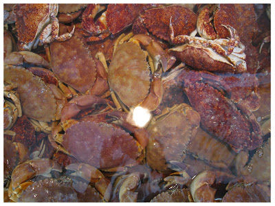 Quality Seafood Santa Barbara Crabs Quality Seafood Santa Barbara Crabs