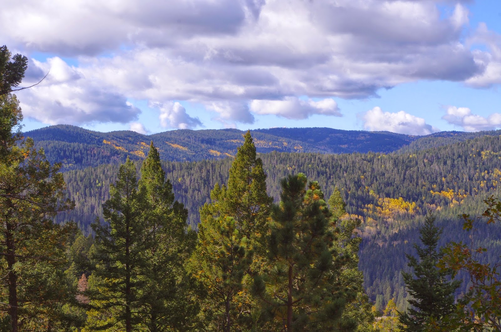 Southern New Mexico Explorer October 2014