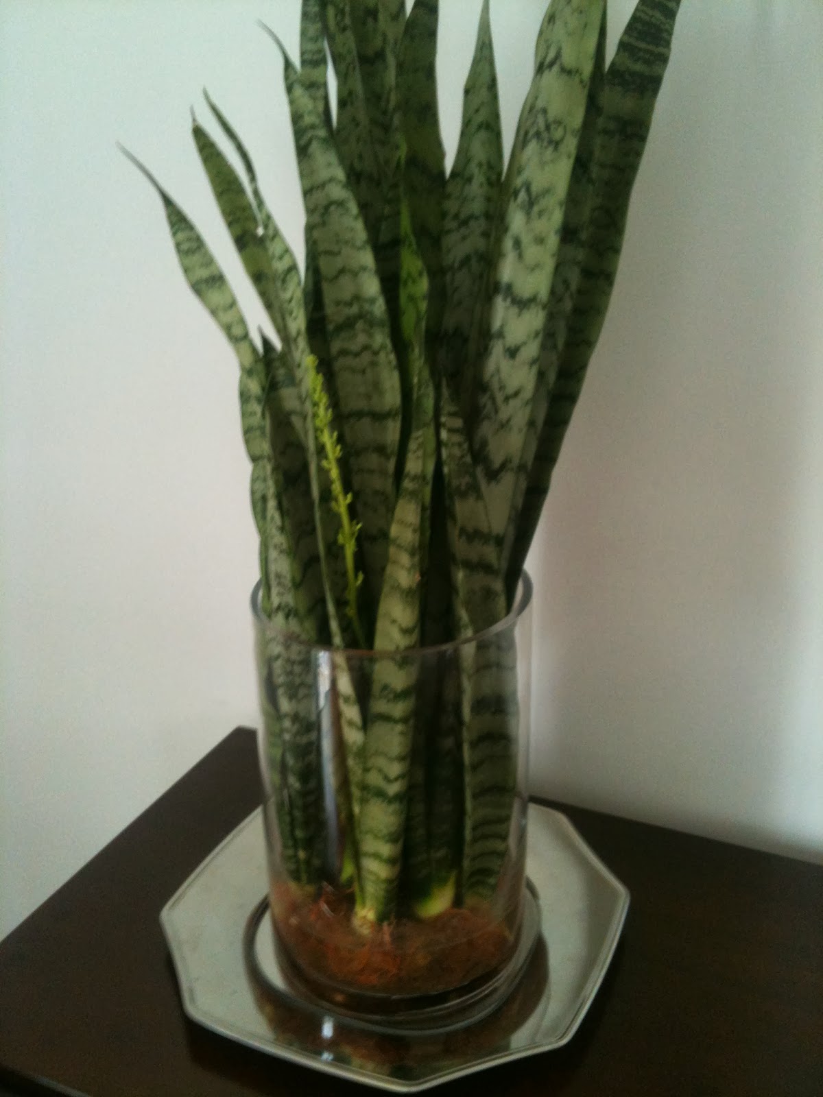 Espada de Sao Jorgena água