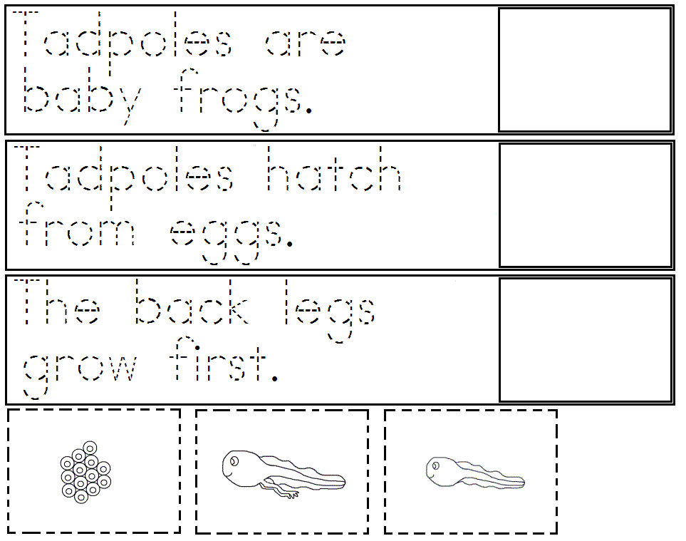 Worksheets Frog Life Cycle Worksheet frog life cycle worksheet cut and paste activity live laugh love kindergarten