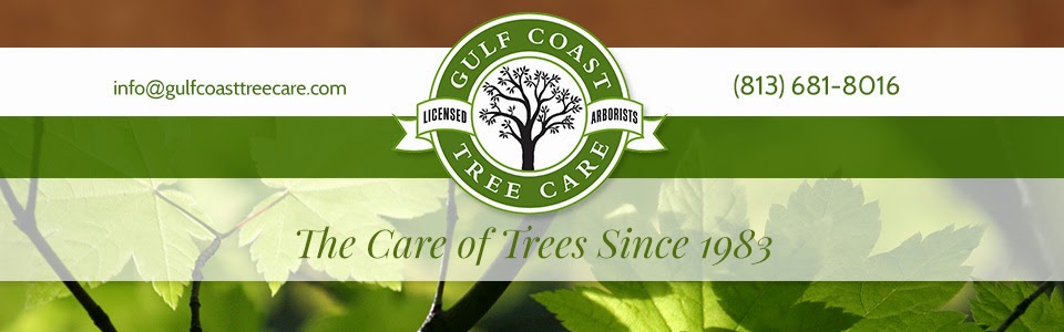Gulf Coast Tree Care