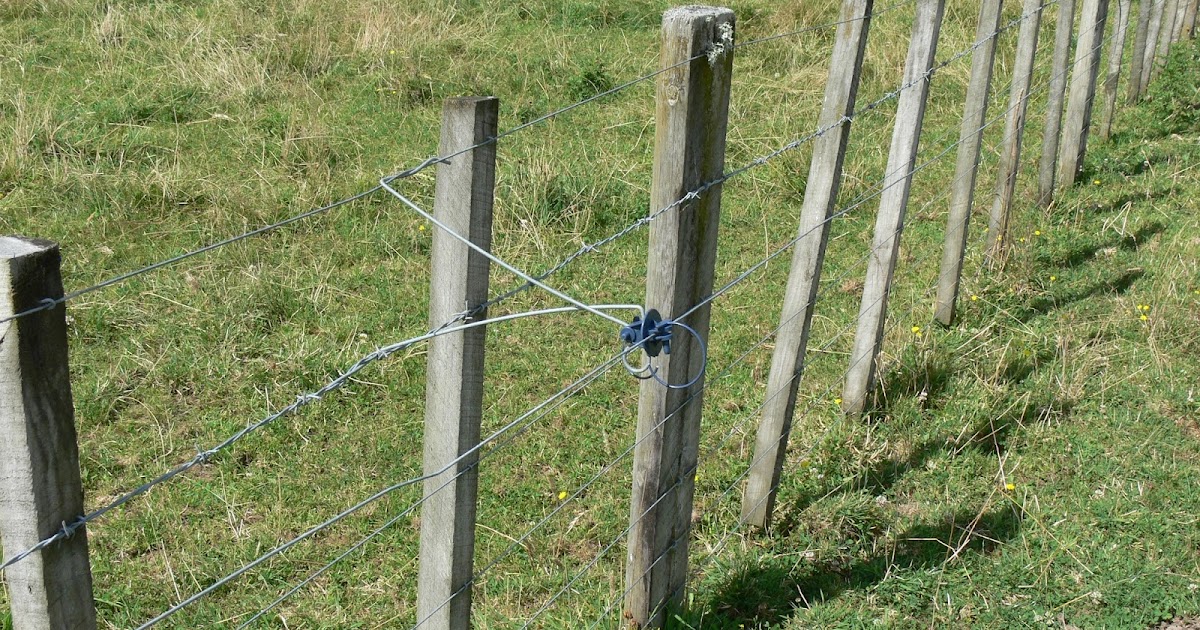 Woolshed 1 New Zealand farming. Electric power fencing Glossary of