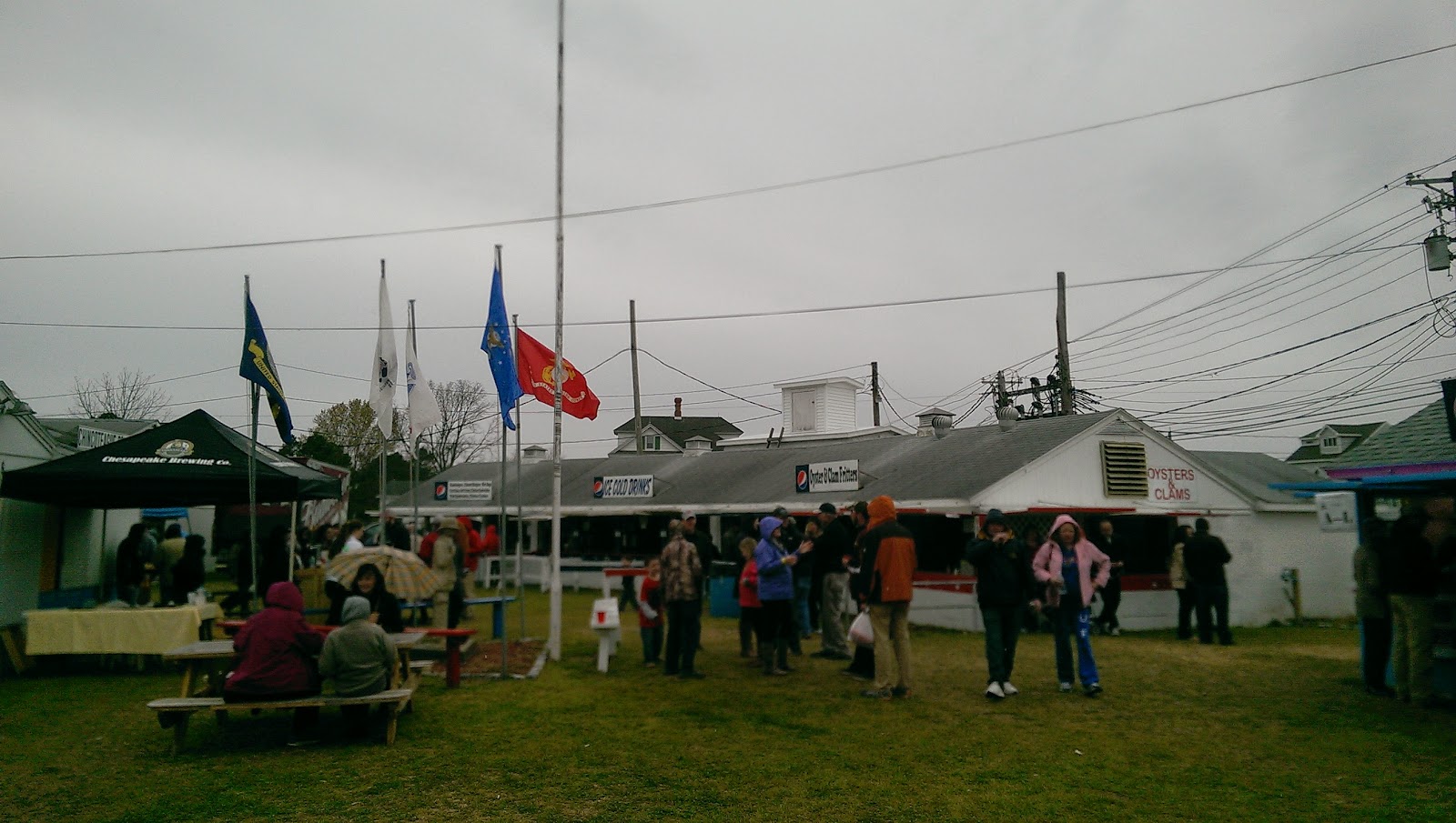 Virginia Beer Blog Chincoteague Wild Horses and Wild Weather