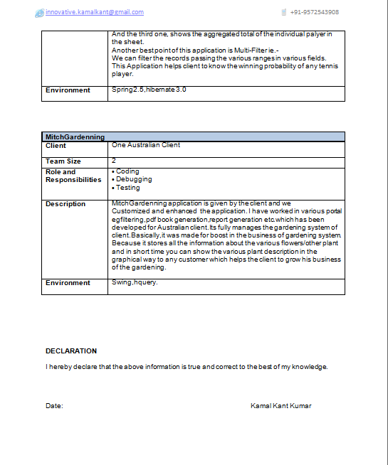 j2ee resume example