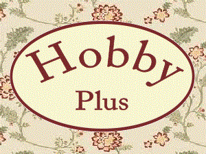 Nieuwsbrief Hobbyplus
