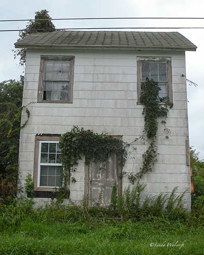 abandoned house