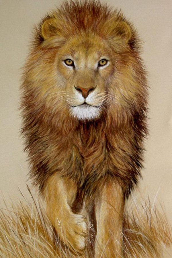 gambar full hd keren