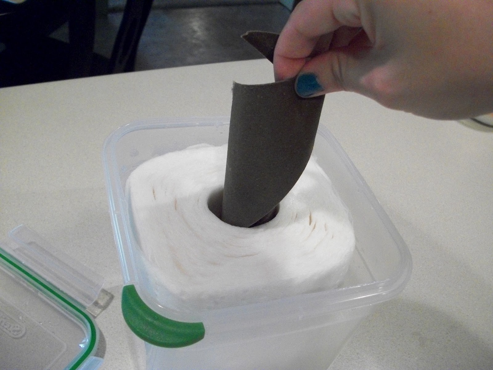 Sweet Somethings by Nicolette Homemade Baby Wipes/Makeup Removers