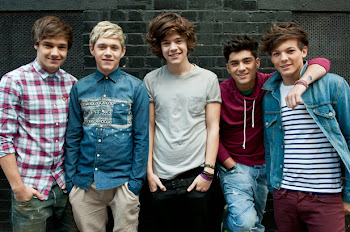 One Direction (1D)