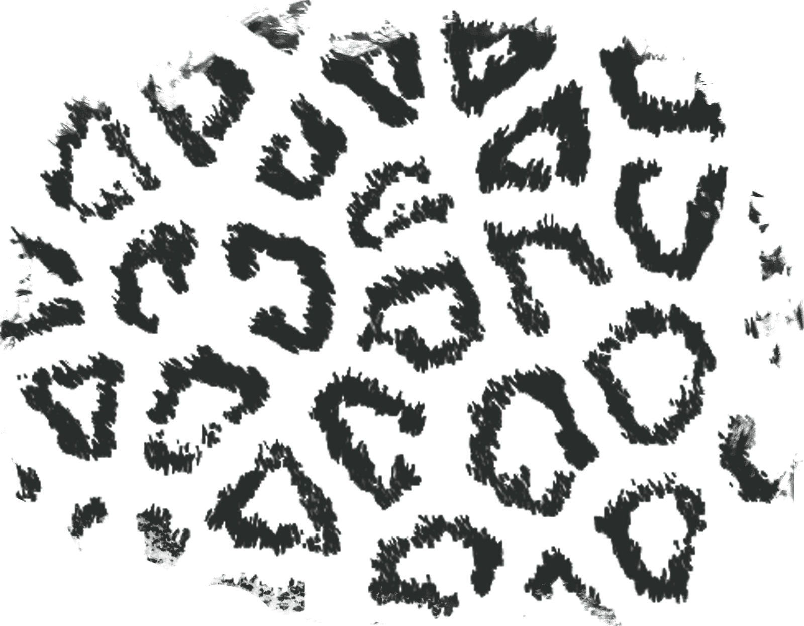 Seamless Leopard Print Png - PNG Image Collection