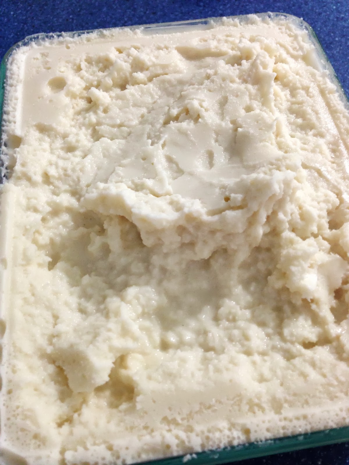 Savory Sweet and Satisfying Vernors Ice Cream