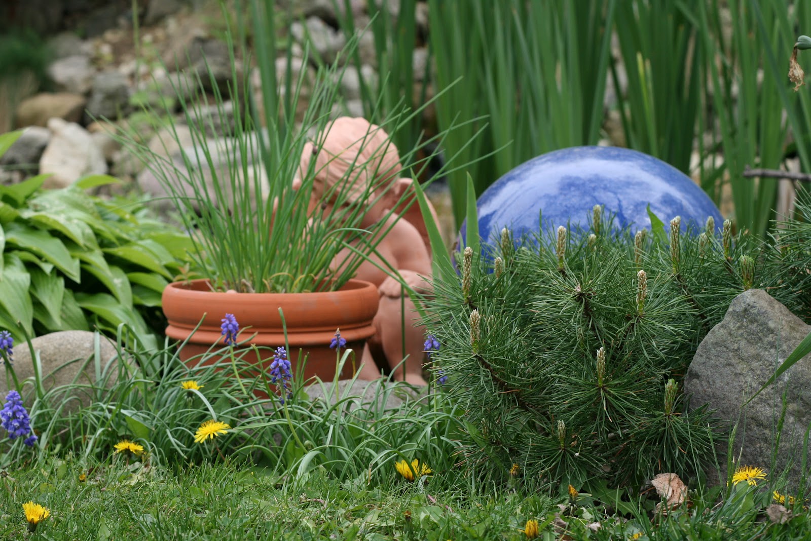 The Little Backyard Farm: My herb garden