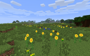 300px-Sunflower_plains.png