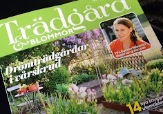 Med egna bilder & text om min vårlund i nr.2