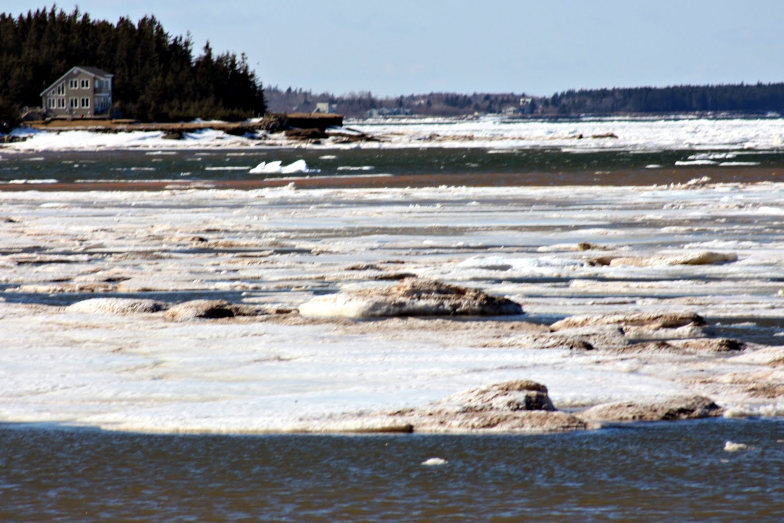Carol Steel PetitCap, New Brunswick