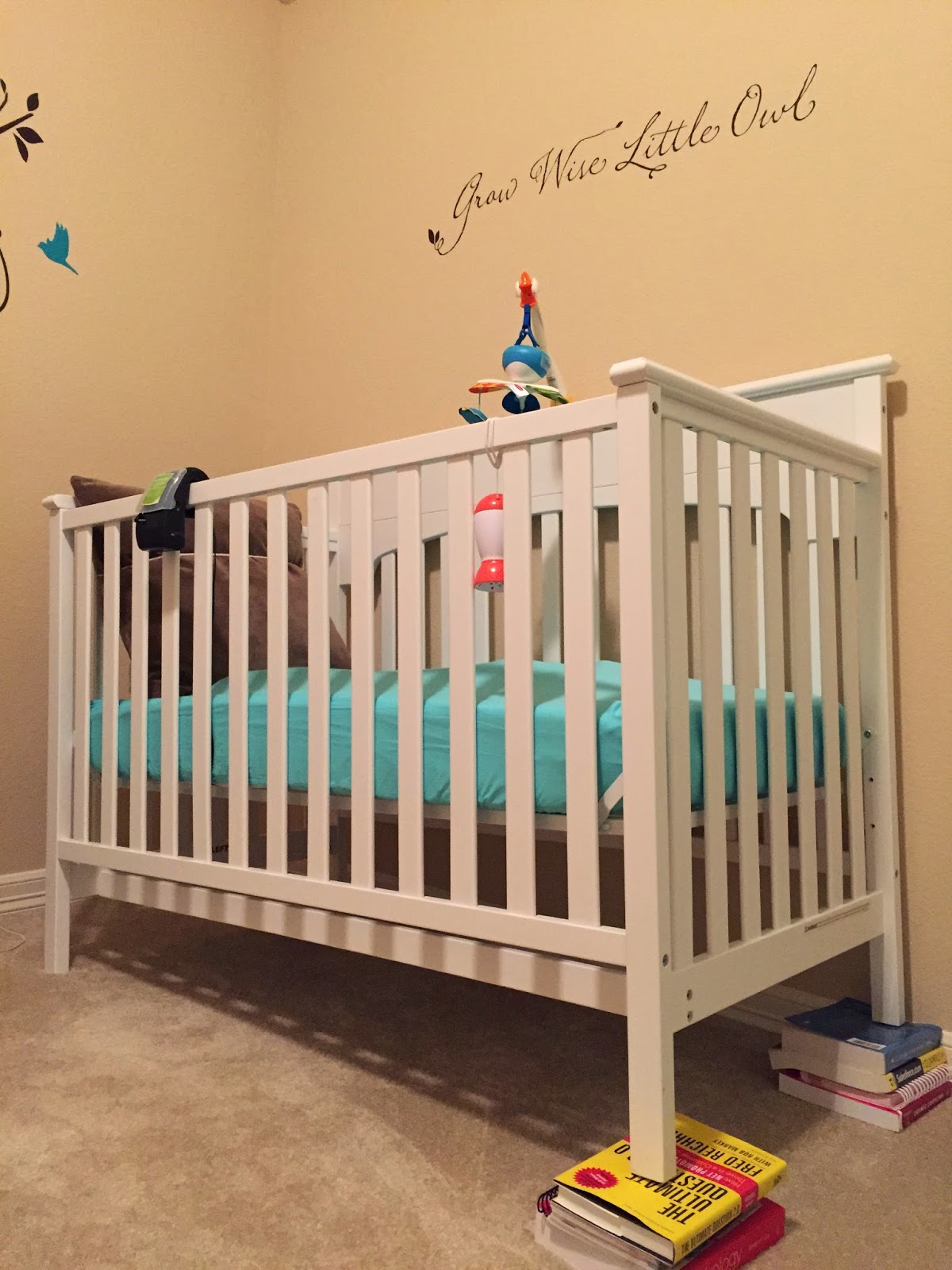 Eat Love Procreate Mission To Sleep To Crib From Rock N Play In