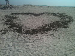 Beach Heart