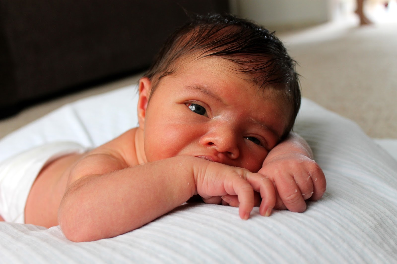 living, loving, laughing... 1 baby daze (2 weeks)