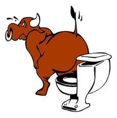 bull+on+toilet+cartoon.jpg