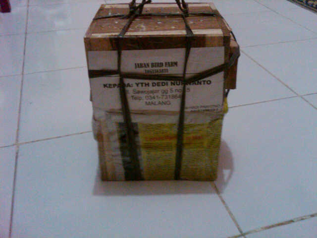 Jaban Birdfarm Packing dan resi pengiriman