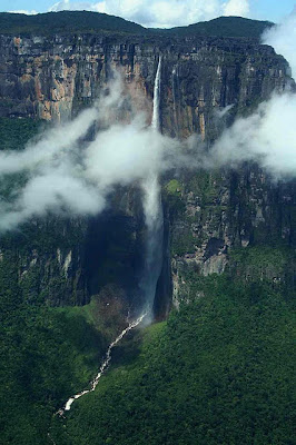 A maior cachoeira do mundo - Angel Falls A maior cachoeira do mundo Angel Falls