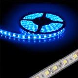 Led Strip