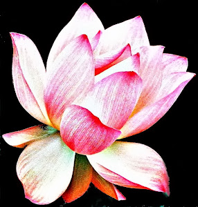 The Nordic Lotus Ikebana Blog