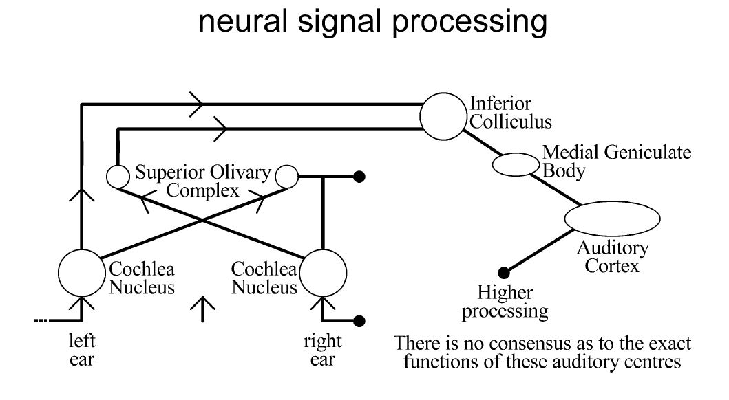 Understanding Music Of Neural >> Audio amp Understanding Music Of Neural >> Audio amp