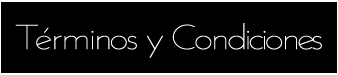 Términos y Condiciones de uso - StudioLyC