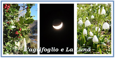 L'agrifoglio e La Luna