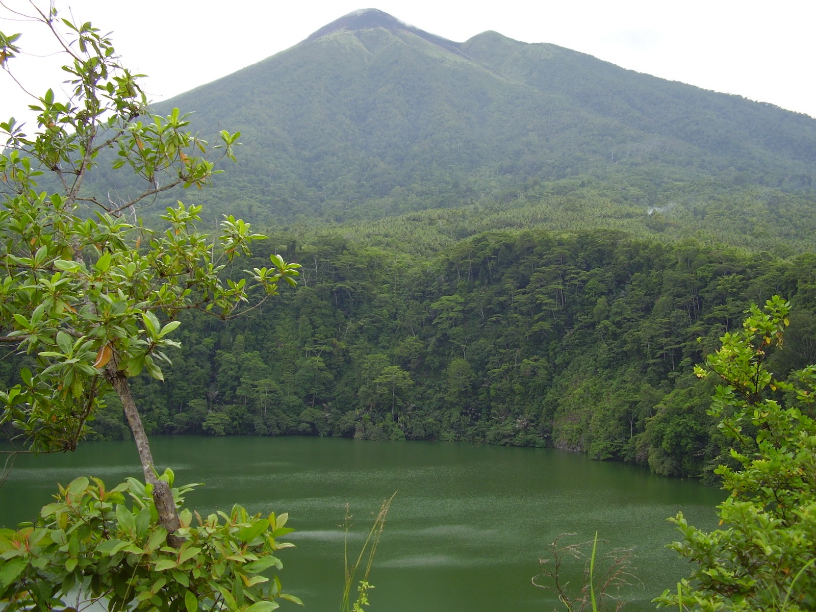 danau tolire