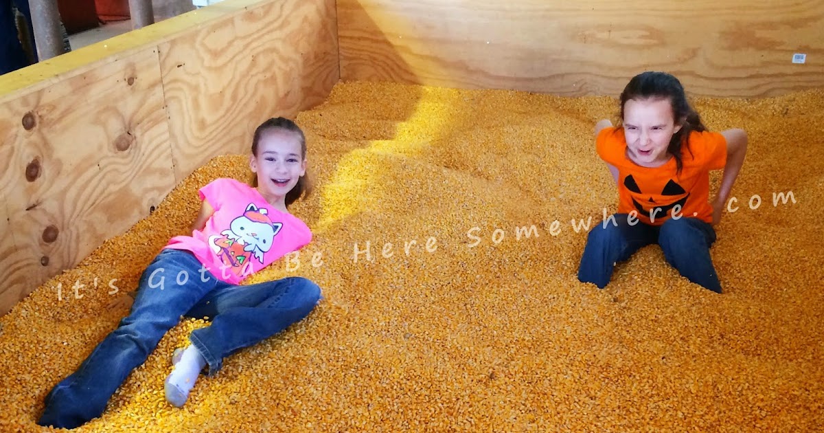 It's Gotta Be Here Somewhere Corn crib + kids = pure joy