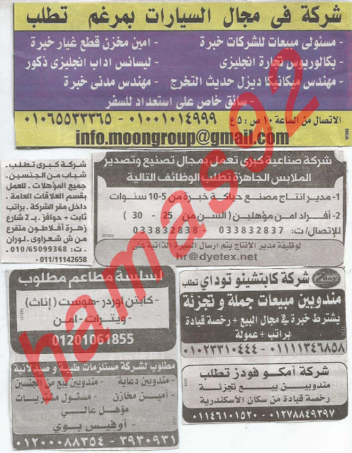 وظائف جريدة الوسيط الاسكندرية الاثنين 25-02-2013 %D9%88+%D8%B3+%D8%B3+10