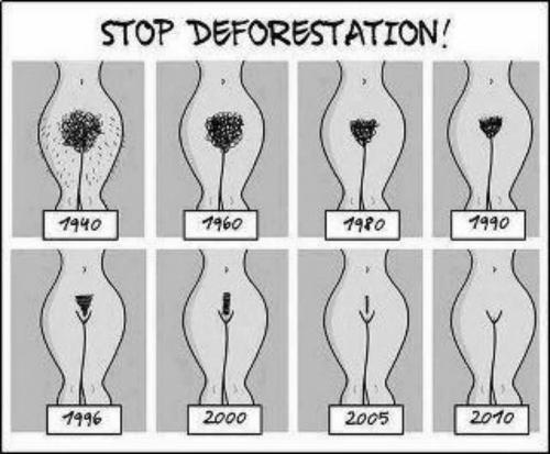 [Image: Deforestation.jpg]